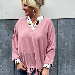 Poncho Herzen's Angelegenheit 25253 / 1217